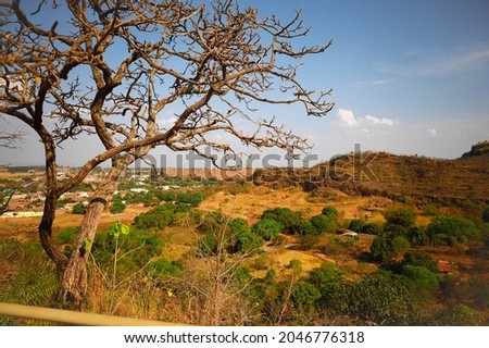 bucolic landscape of the Cerrado biome in the interior of Brazil Royalty-Free Stock Photo #2046776318