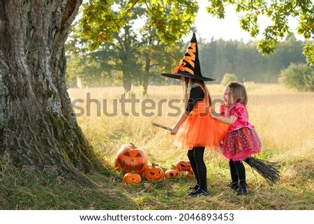 Two girls are laughing merrily, sitting astride a broomstick under a large oak trunk on Halloween day. Children's joyful laughter. Halloween sales. Happy childhood. Carnival costumes of the witch