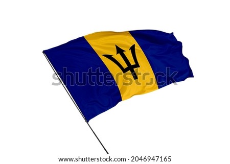 Barbados flag on a white background