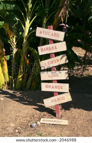 Vegetable and fruit sign located in front of banana trees