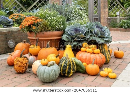 An assortment of pumpkins, gourds, plants and flower pots in a garden setting.