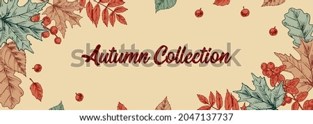 Horizontal colorful Autumn design with leaves and berries. Hand drawn vector illustration. Hello Autumn