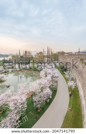 Cherry blossoms bloom at Xuanwu Lake Park in Nanjing, Jiangsu Province, China