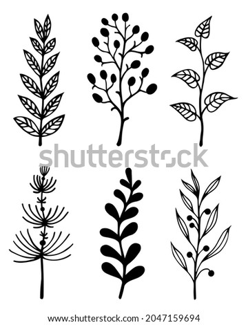 Branches and herbs vector set. Hand-drawn doodles isolated on white. Twigs with leaves and berries. Field grass sketch. Botanical elements for decoration and design of cards, textiles, packaging.