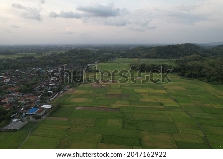 aerial photos of rural areas, there are rice fields and residential areas. rice fields to grow rice, the staple food for most Indonesians.