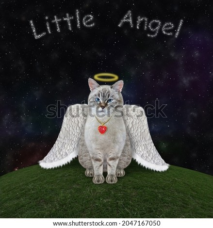 An ash cat angel is sitting in a meadow at night. 