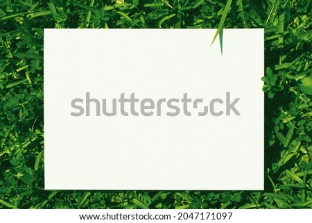 Beautiful grass and white paper