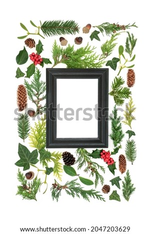 Abstract Christmas and winter frame with greenery.  Natural solstice, Christmas and New Year nature arrangement. On white background. Top view, flat lay copy space