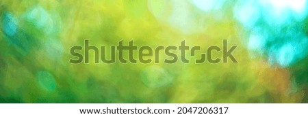 Blurred yellow-green background with bokeh. Natural background