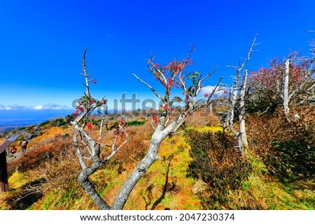 It is a beautiful autumn landscape of Hallasan Mountain in Jeju Island.