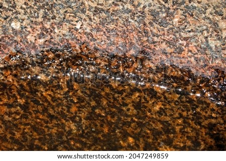 WATERMARK ON A BIRDBATH IN A HOLLOWED OUT GRINDING STONE