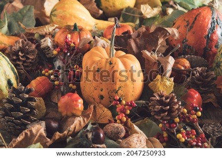 Festive creative concept of autumn decor of pumpkins, berries and leaves, chestnuts, walnuts. Thanksgiving Day or Halloween concept. Front view autumn vegetable composition.