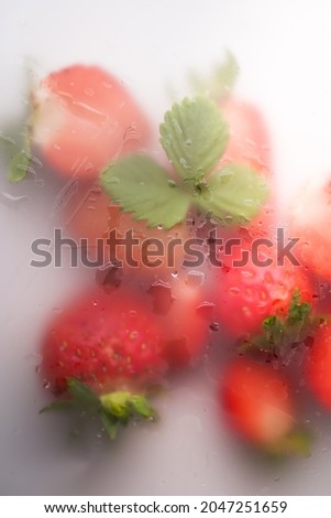 Vertical view of red raw strawberry with beautiful leaf in light background in frost effects with drops of water. Blurred Berries top view