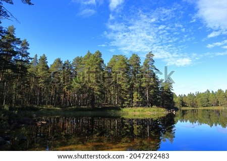Tiveden National Park. Nice landscape view over a lake and mosty pine trees in the forest. Beautiful day outside. Clear weather. Freedom. Copy space for extra text.  Sweden, Scandinavia, Europe. Royalty-Free Stock Photo #2047292483