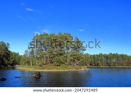 Tiveden National Park. Nice landscape view over a lake and mosty pine trees in the forest. Beautiful day outside. Clear weather. Freedom. Copy space for extra text.  Sweden, Scandinavia, Europe. Royalty-Free Stock Photo #2047292489