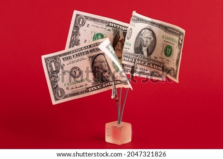 Money tree from dollar bills, on a red background Viva Magenta. Copy space.