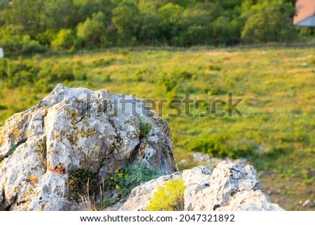 Small bright yellow flowers growing in the crevices of the rock. . Royalty-Free Stock Photo #2047321892