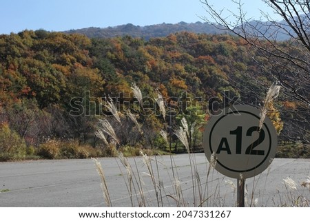 This picture Autumn in korea