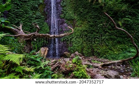 Pati, Indonesia. September 2021 - Dried tree branches in front of the waterfall.