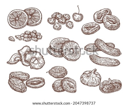 Sketch set of dried fruits. Vector hand drawing of date, raisins, figs, prunes, dried apricots, banana and pineapple. Healthy snack. Royalty-Free Stock Photo #2047398737