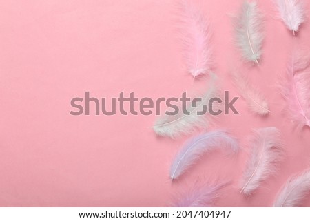Soft colored feathers on a pink background. Copy space