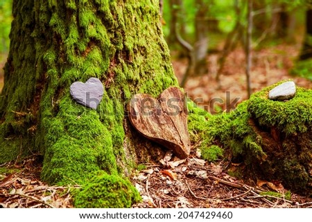 Funeral Heart sympathy. funeral heart near a tree. Natural burial grave in the forest. Heart on grass or moss. tree burial, cemetery and All Saints Day concepts	 Royalty-Free Stock Photo #2047429460