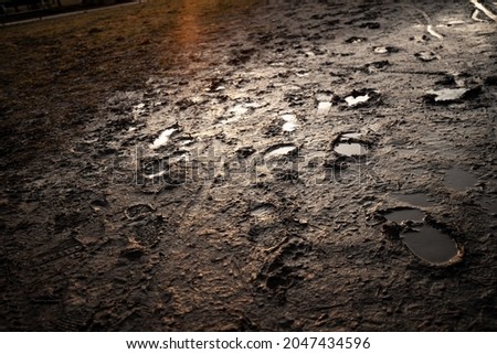 Footprints in the fresh thick mud in the park