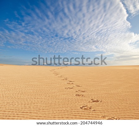 sand desert 