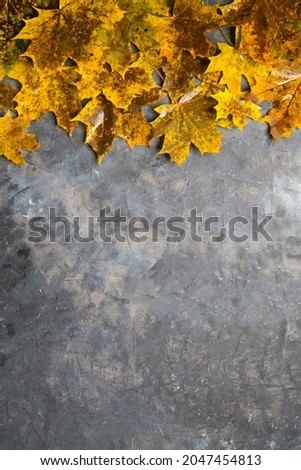 This photo shows autumn background with yellow leaves. Vertical ,copy space