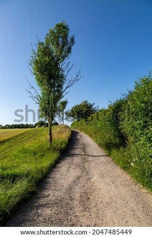 Looking along a pathway running alongside farmland in Sussex, on a sunny summers day