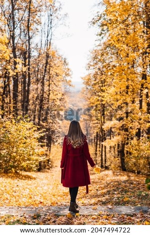 Rear view of elegant young woman in a burgundy casual coat in autumn. Cute model walks in the park in golden autumn through colorful trees and fallen leaves. Autumn walk, colorful nature Royalty-Free Stock Photo #2047494722