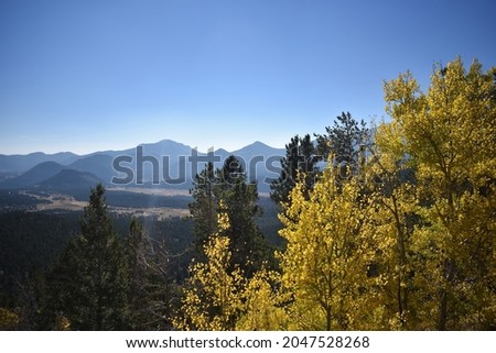 Autumn foliage of Aspen trees in scenic Rocky Mountain National Park - Colorado, USA