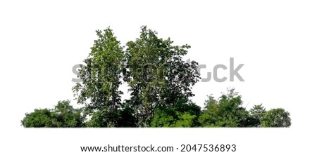 Forest and foliage in summer isolated on white background Royalty-Free Stock Photo #2047536893