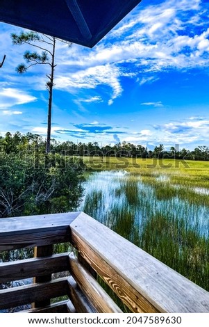 Louisiana marsh pond and grasses flooded Royalty-Free Stock Photo #2047589630