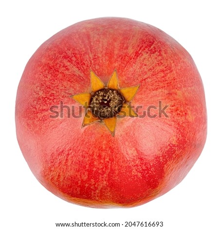 Pomegranate isolated on white background. File contains clipping path. Full depth of field. Top view.