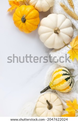Autumn mood background with decorative pumpkins, fall leaves and a knitted plaid with plenty of copyspace for greetings or text. Flat lay