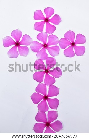 Easter cross form made of flowers on white background. Handmade Decoration. Catharanthus roseus. Flowers craft. Creative image. 