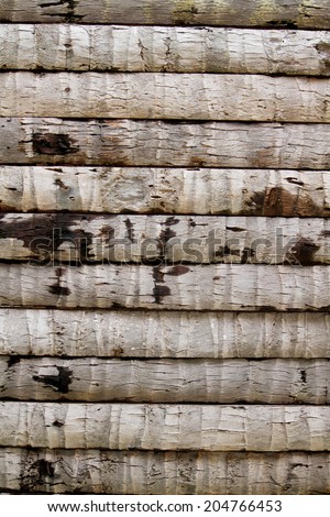 Coconut wall texture