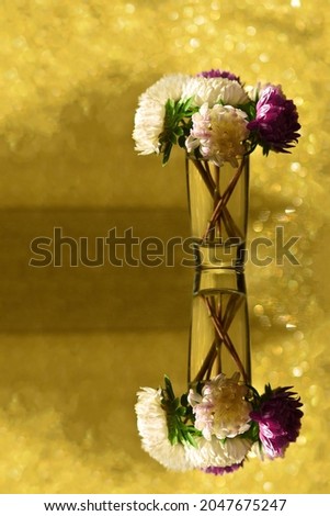 Aster flowers in a transparent vase on a golden bokeh background and its mirror image. Greeting card for congratulations. A copy space for the text.