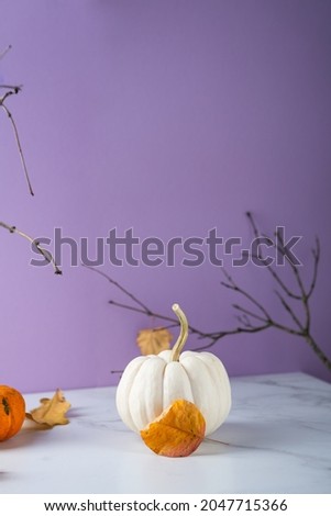 Modern autumn still life with pumpkin food holiday concept copy space Royalty-Free Stock Photo #2047715366