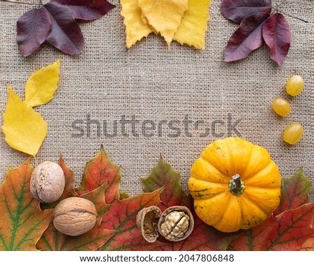 Autumn leaves, nuts, berries, pumpkin are laid out in the form of a frame on a gray fabric. Burlap background .Autumn background. Layout. Thanksgiving Day. Halloween. Copy space.