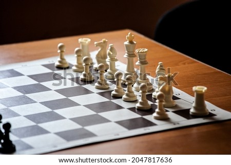 chess pieces on the board in natural light