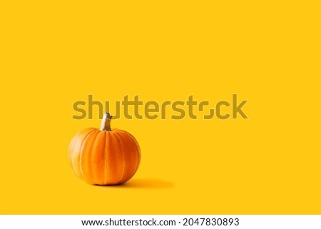 Beautiful orange pumpkin against yellow background.