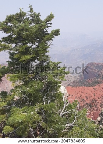 these pictures are of canyons and cliffs
