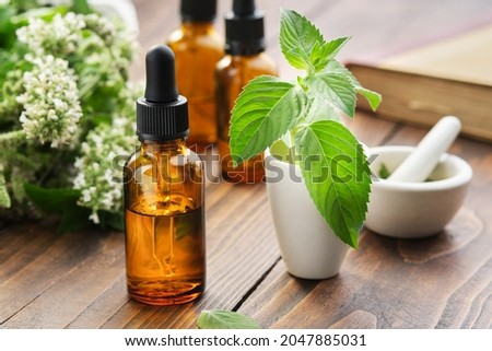 Dropper bottles of mint essential oil, tincture or infusion, mortars of peppermint leaves, blossom spearmint plants and book on background. Royalty-Free Stock Photo #2047885031