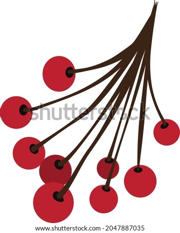 Wild Rowan Berries Branch Clip Art Illustration for Christmas