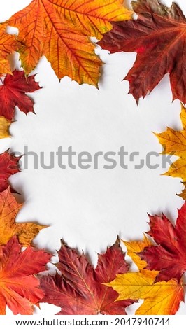 Autumnal vertical flatlay composition with copy space for text. Autumn frame background with maple leaves, top view.