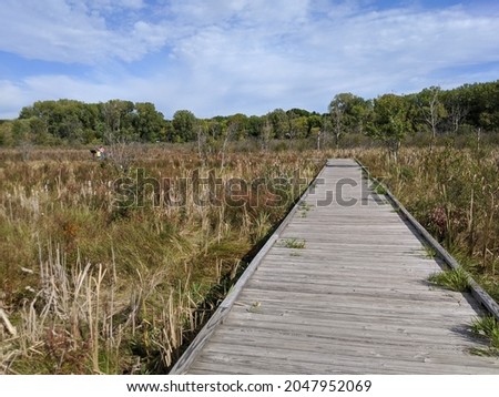 Boardwalk in the wetland during fall