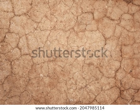 The ground has cracks in the top view for the background or graphic design with the concept of drought and death.