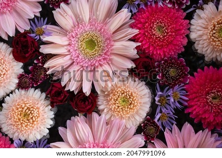 Composition of pink and red flowers